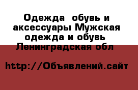 Одежда, обувь и аксессуары Мужская одежда и обувь. Ленинградская обл.